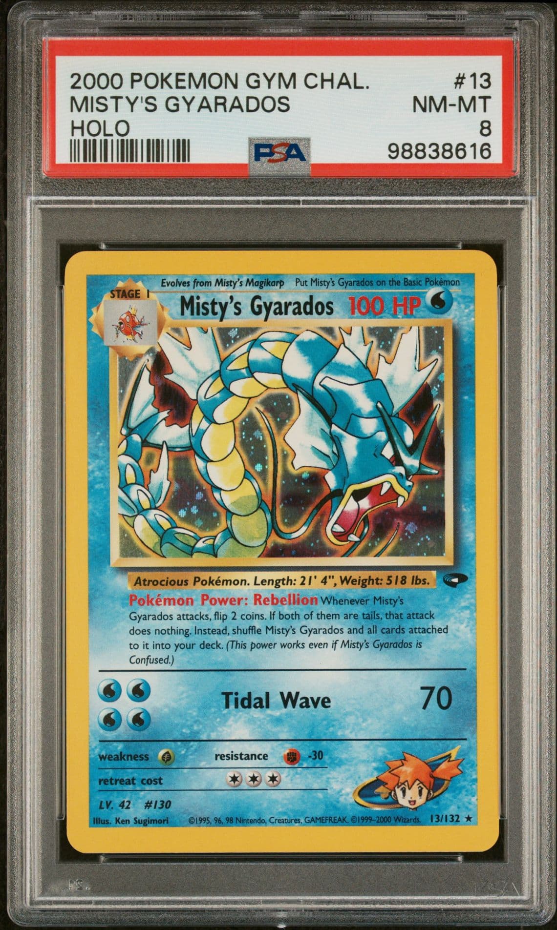 Misty's Gyarados