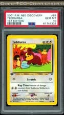PSA 10 ⭐️ Pokemon Teddiursa 65 Neo Discovery 1st Edition Vintage Non-Holo