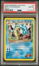 Misty's Gyarados