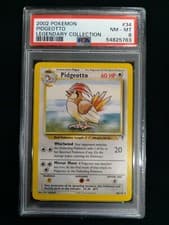 Pidgeotto