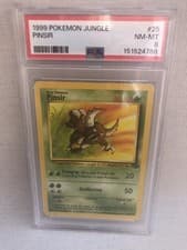 Pinsir